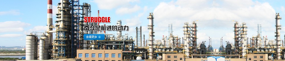 banner02.jpg